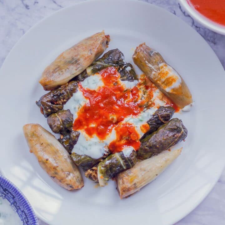 swiss chard dolma with yogurt and sauce