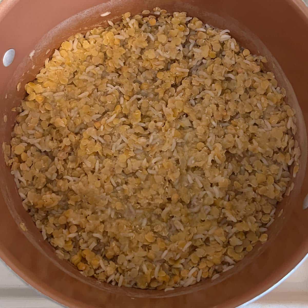 lentils and rice after absorbing water