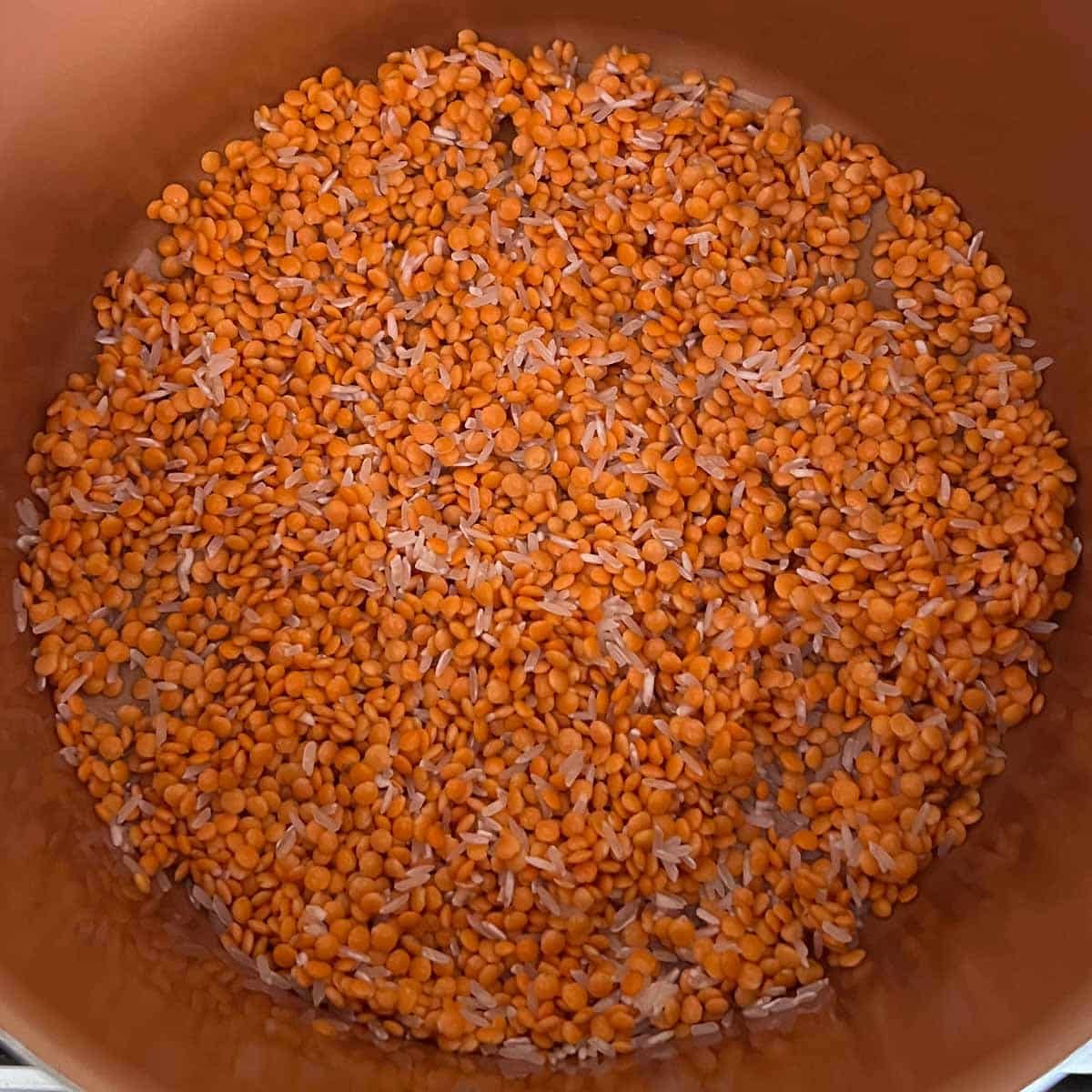 rinsed lentils and rice in pot