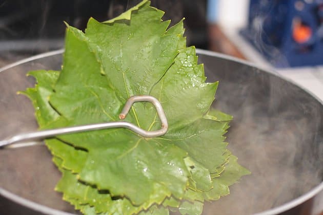 grape leave being immersed in boiling water