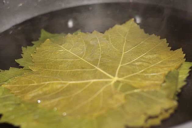 grape leaves in hot water