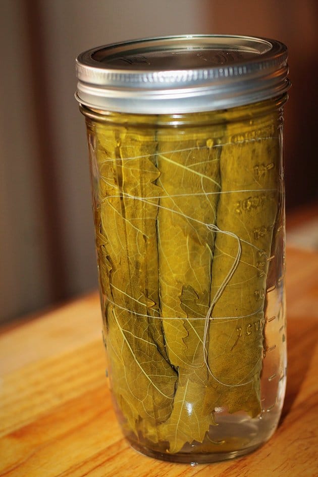 preserved grape leaves in a jar