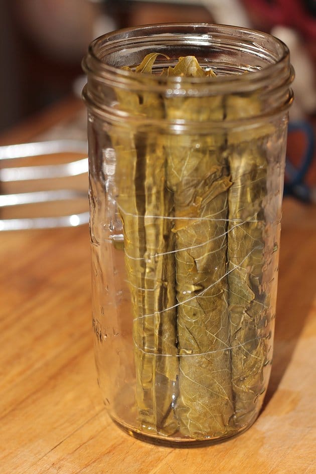 grape leaves in a jar