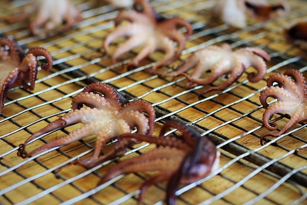 smoked octopus on metal shelves