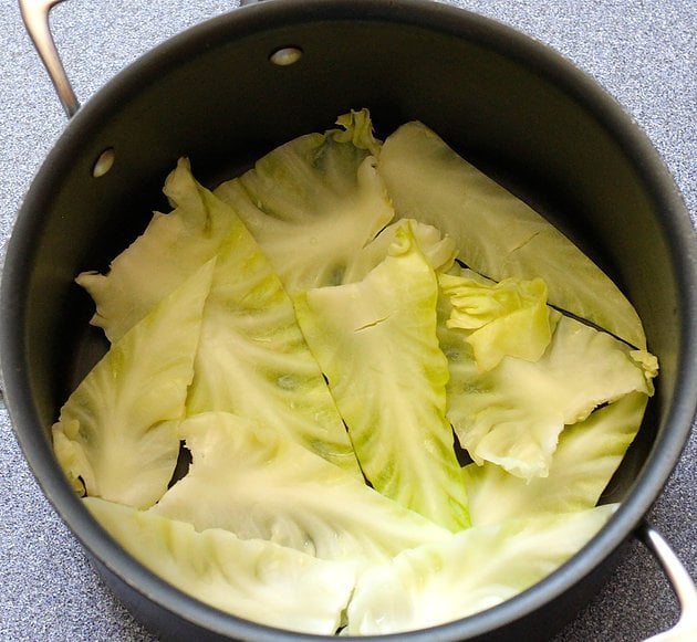 cabbage leaves on the bottom of a pot