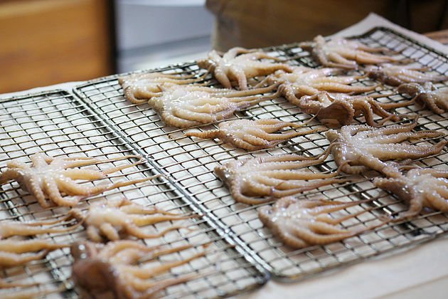 brined baby octopus on smoker trays