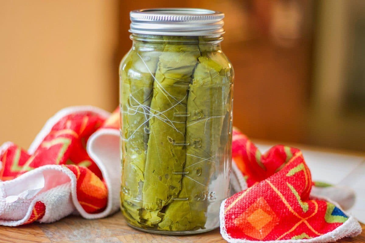 pickling grape leaves in a jar