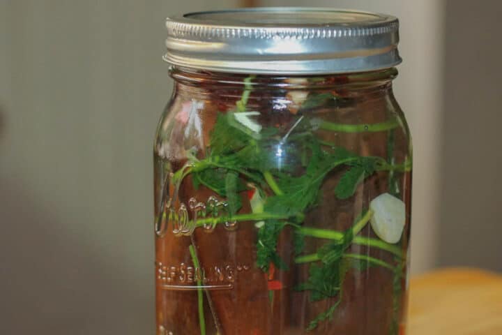 pickled eggplant in a jar