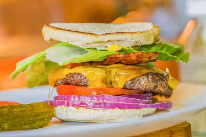 bison burger on a white plate.