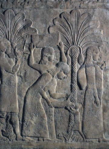 Assyrian relief of date cultivation