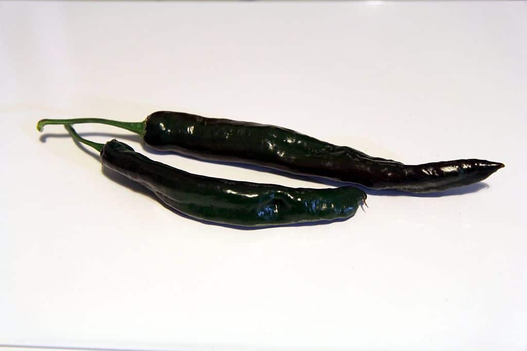 chilaca peppers