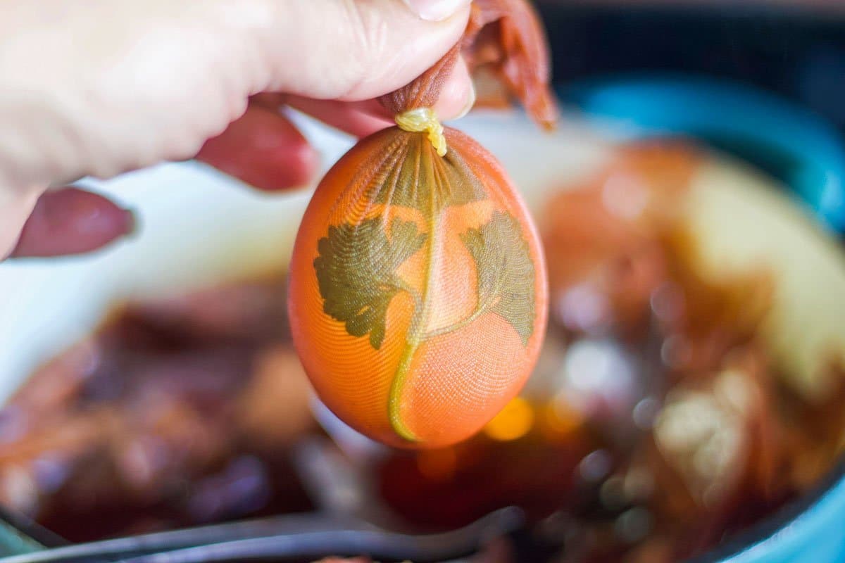 pulling a naturally dyed egg from a pot