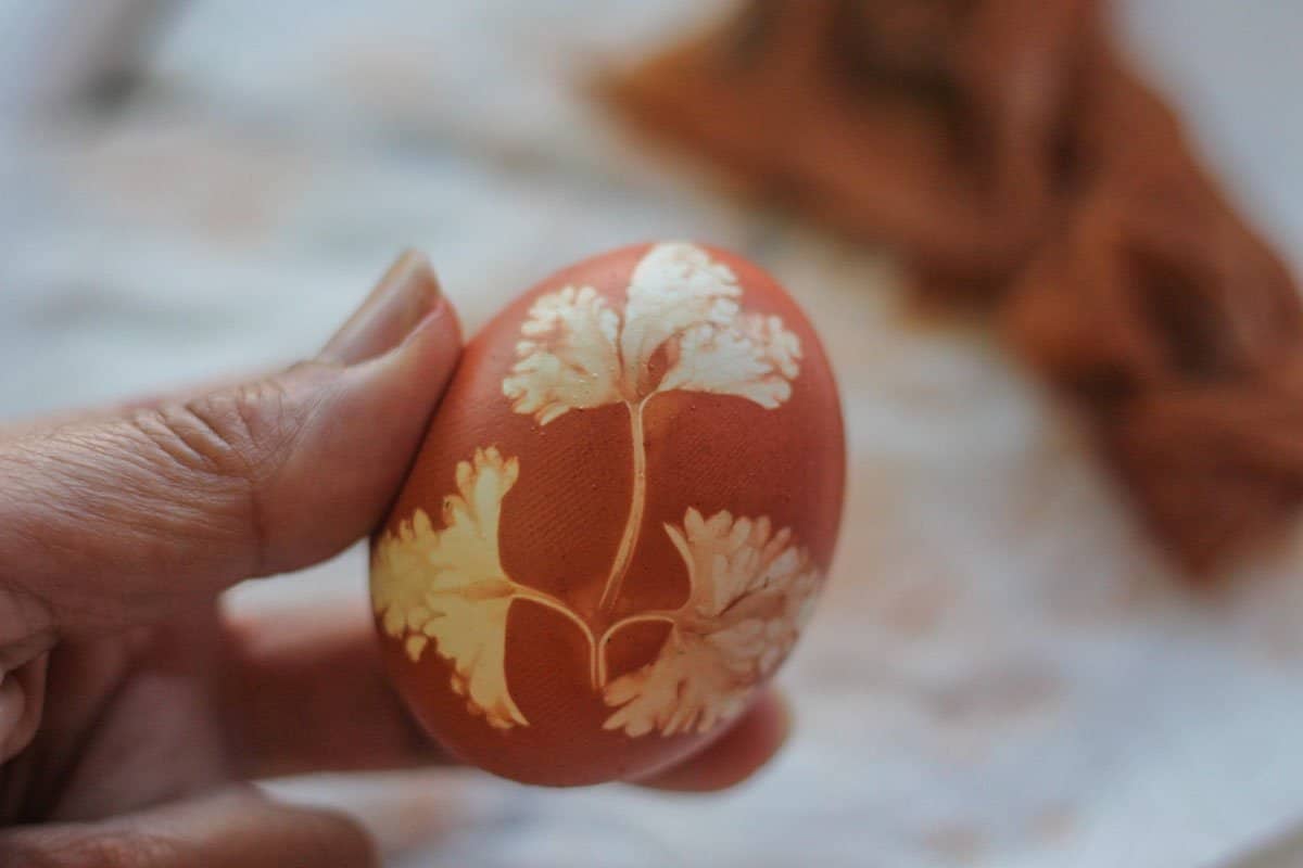 holding a red Easter egg with parsley leaf imprint