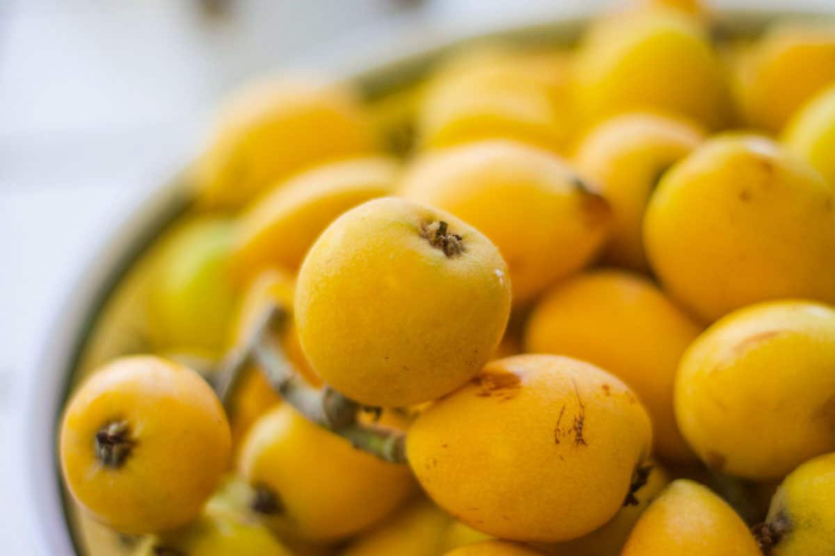 loquats in a bowl