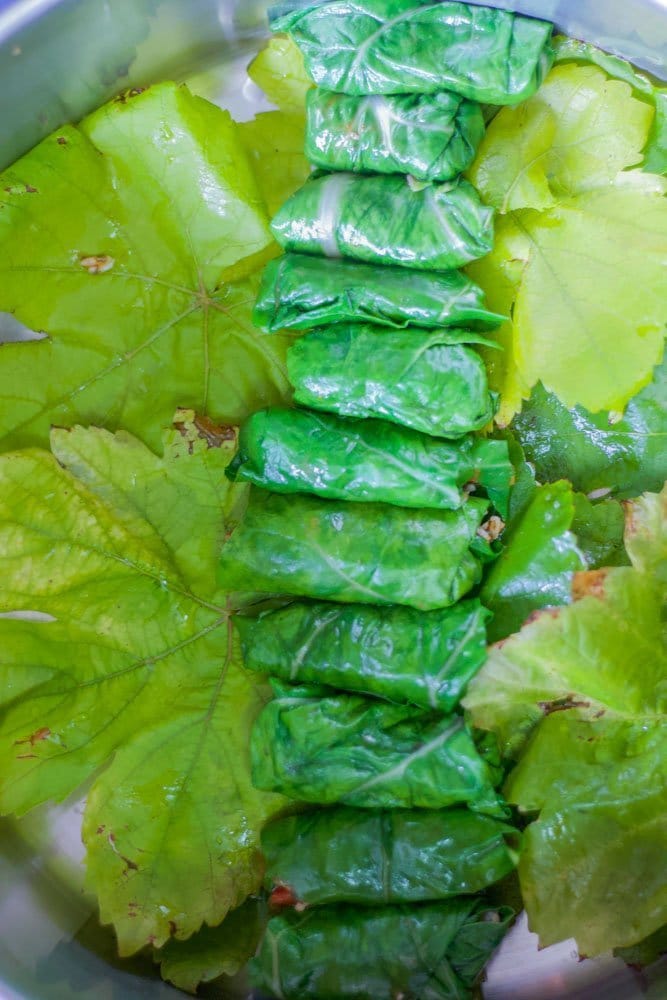 dolma rows on the bottom of a grape leaf lined pot