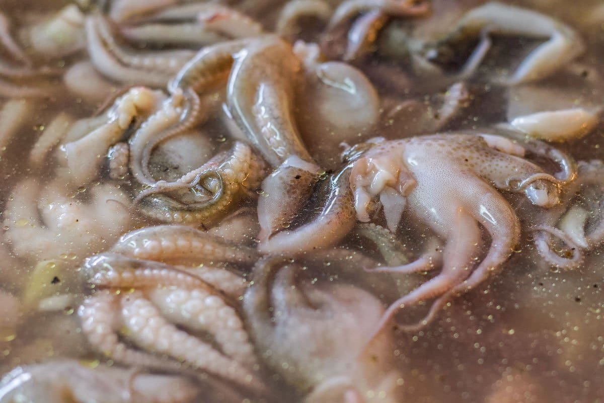 baby octopus in brine