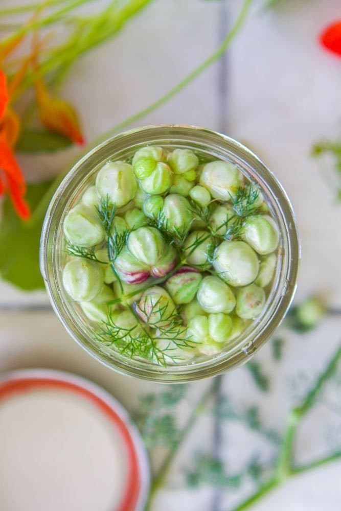 nasturtiums pickled in a jar