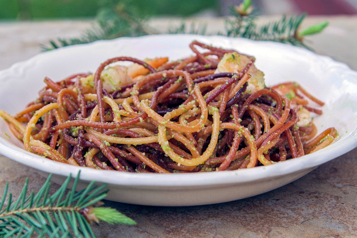 spruce tips pesto pasta in a white plate