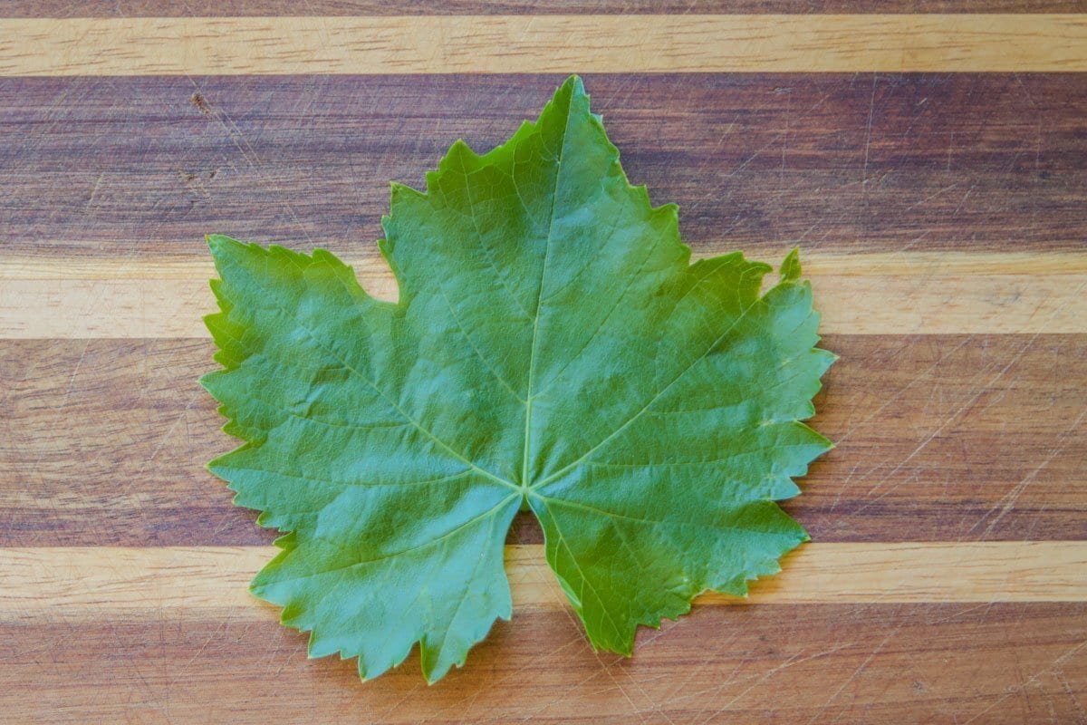 grape leaf on a cutting board 