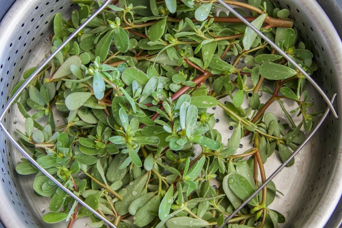 purslane in a steam basket