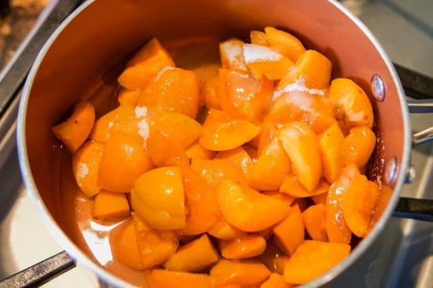 chopped apricots for making fruit leather