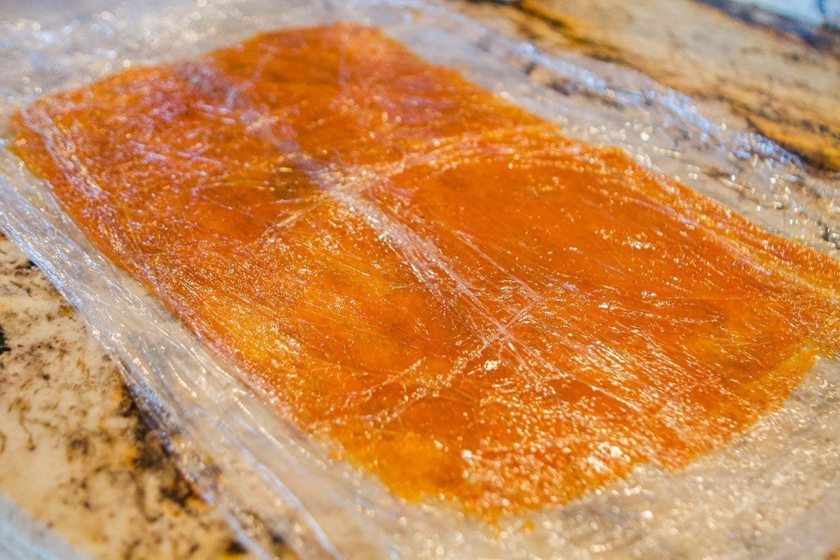 homemade apricot fruit leather