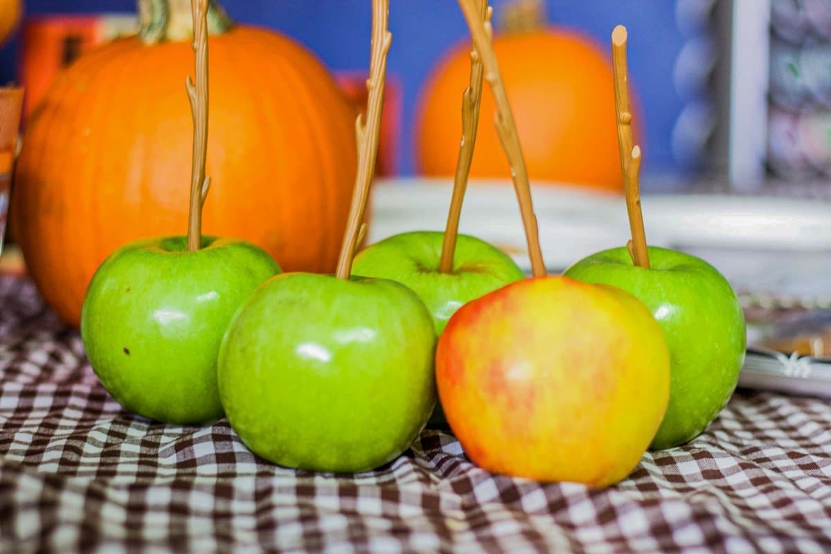 apples with plastic stems ready for dipping into caramel