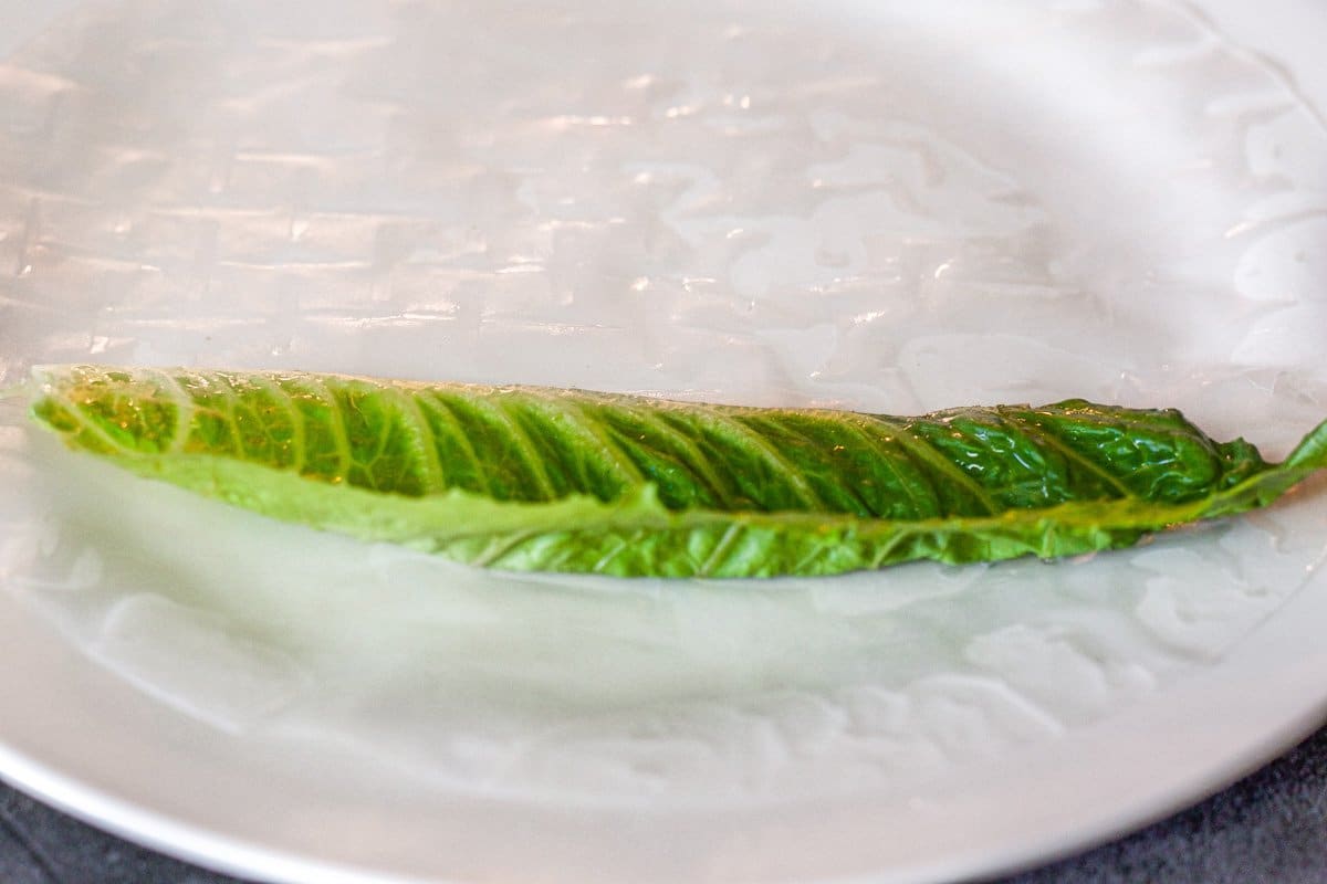 lettuce onto of wet rice paper on a white plate