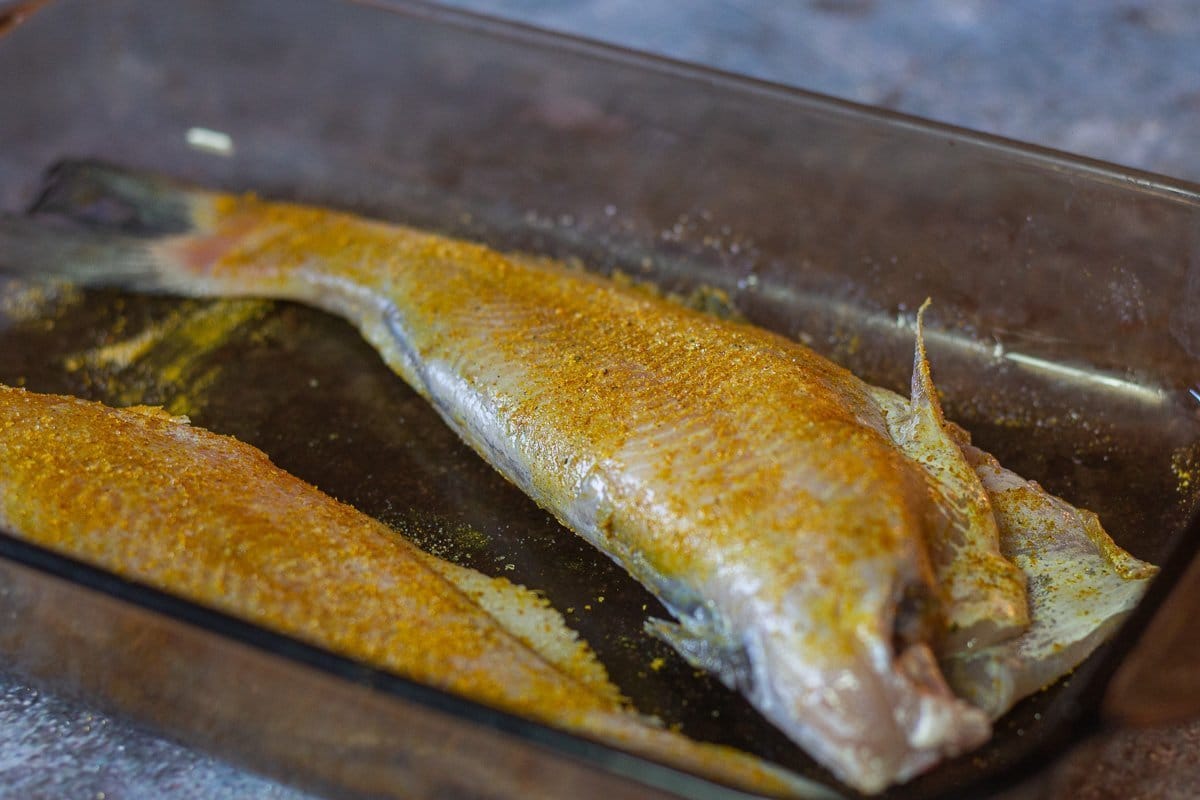 seasoned cat fish