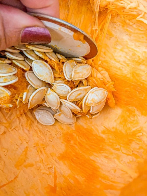 scraping pumpkin seeds out of a pumpkin