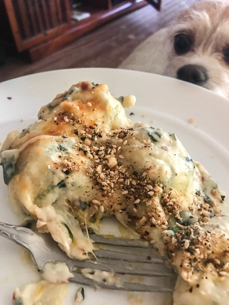 ravioli piece on a white plate with a dog in the background