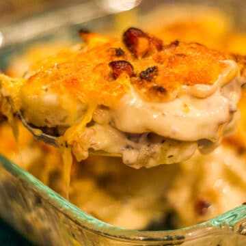 scalloped potatoes being served