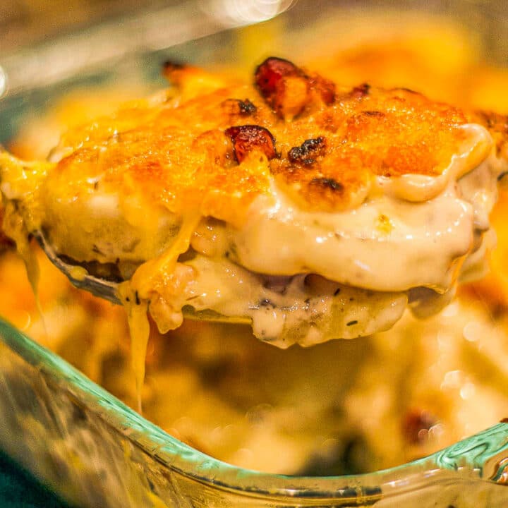 scalloped potatoes