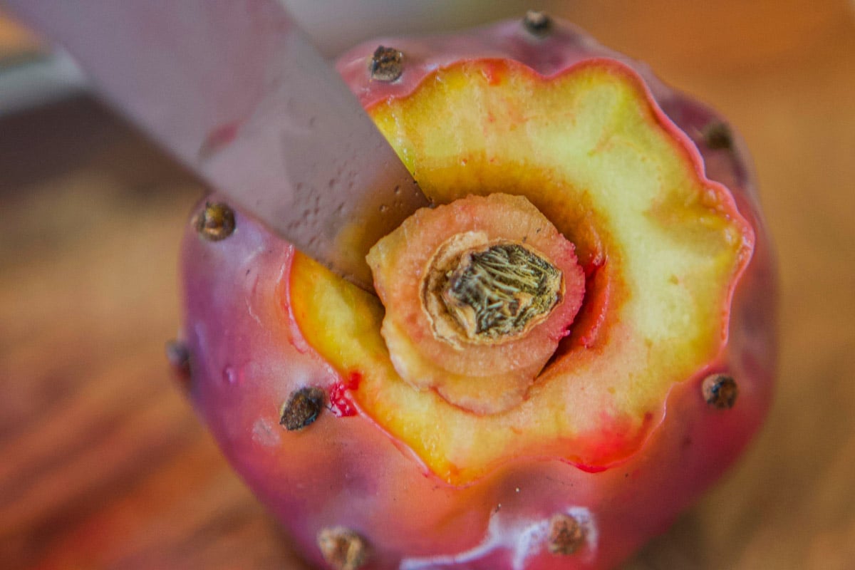 Prickly Pear Juice and Syrup Hilda's Kitchen Blog