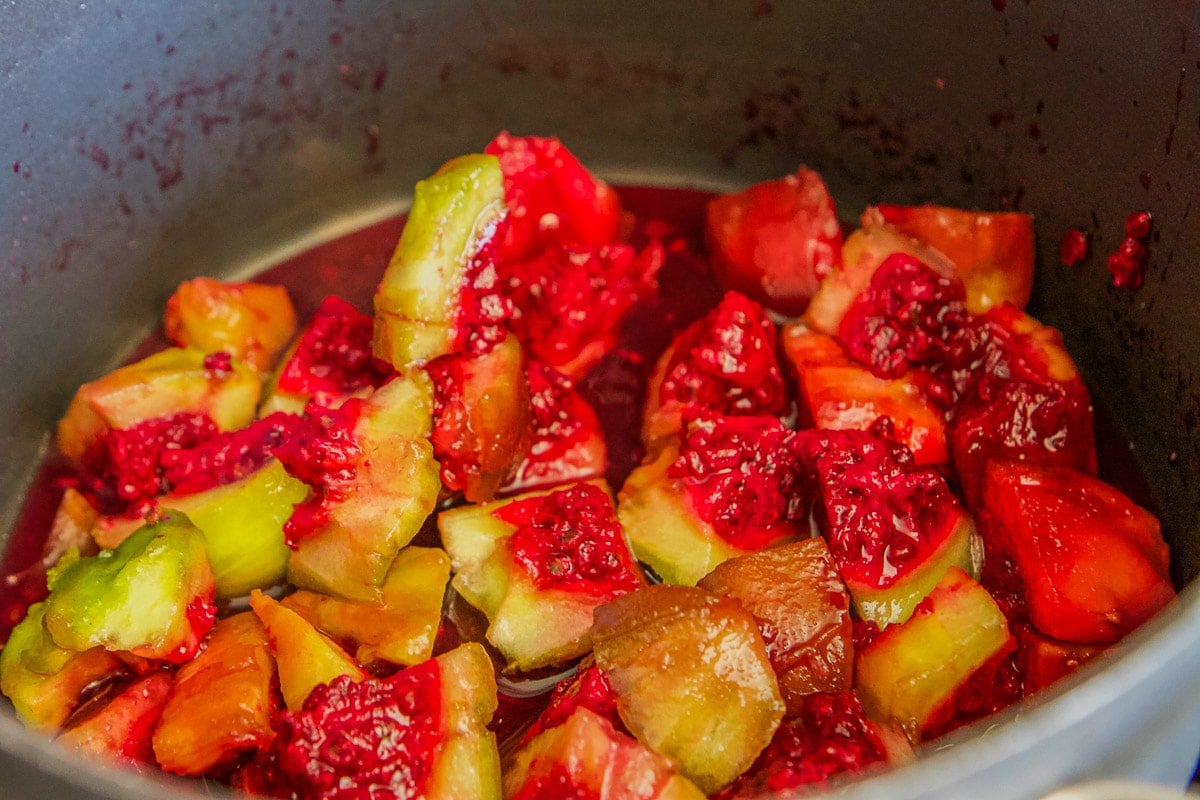 Prickly Pear Juice and Syrup Hilda's Kitchen Blog