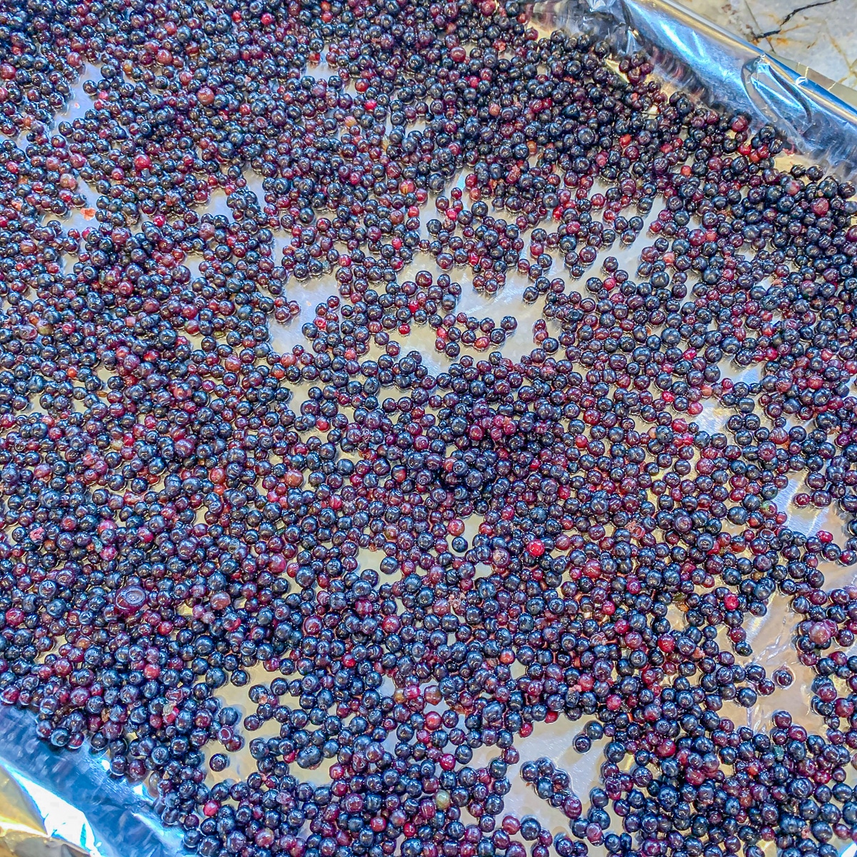 elderberries on a tray