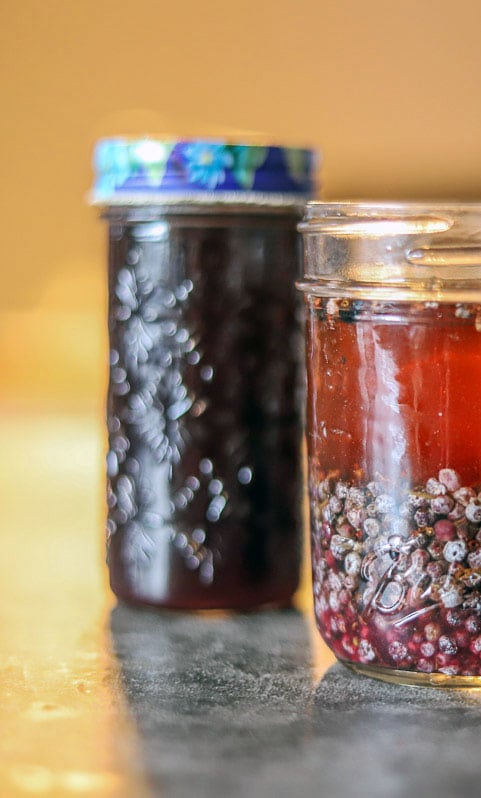 elderberry syrup and tincture