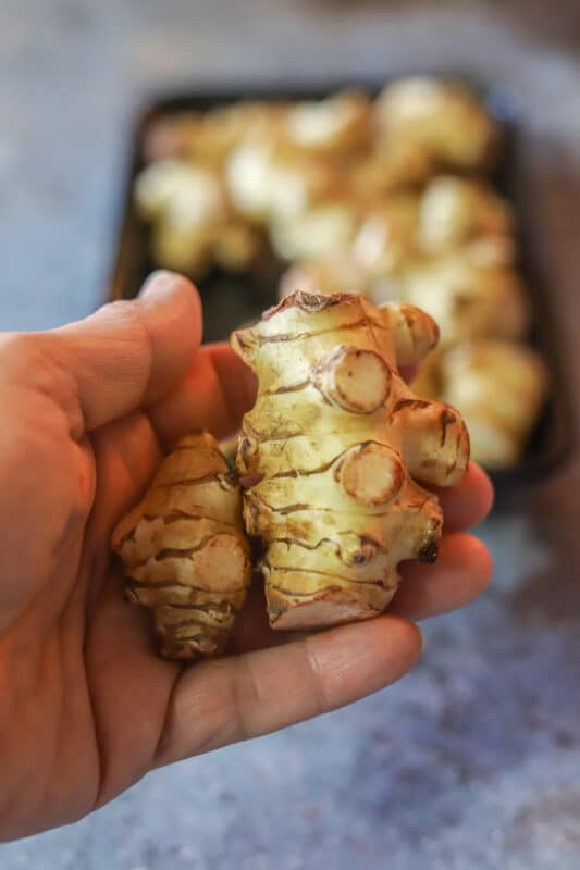 Jerusalem Artichoke Recipe (Pickled Sunchokes) Hilda's Kitchen Blog