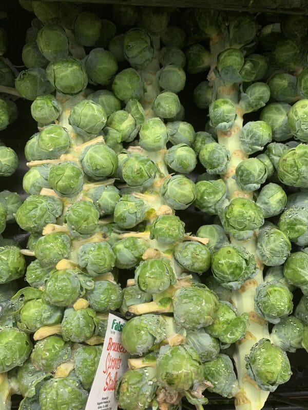 Brussel Sprouts on a stalk