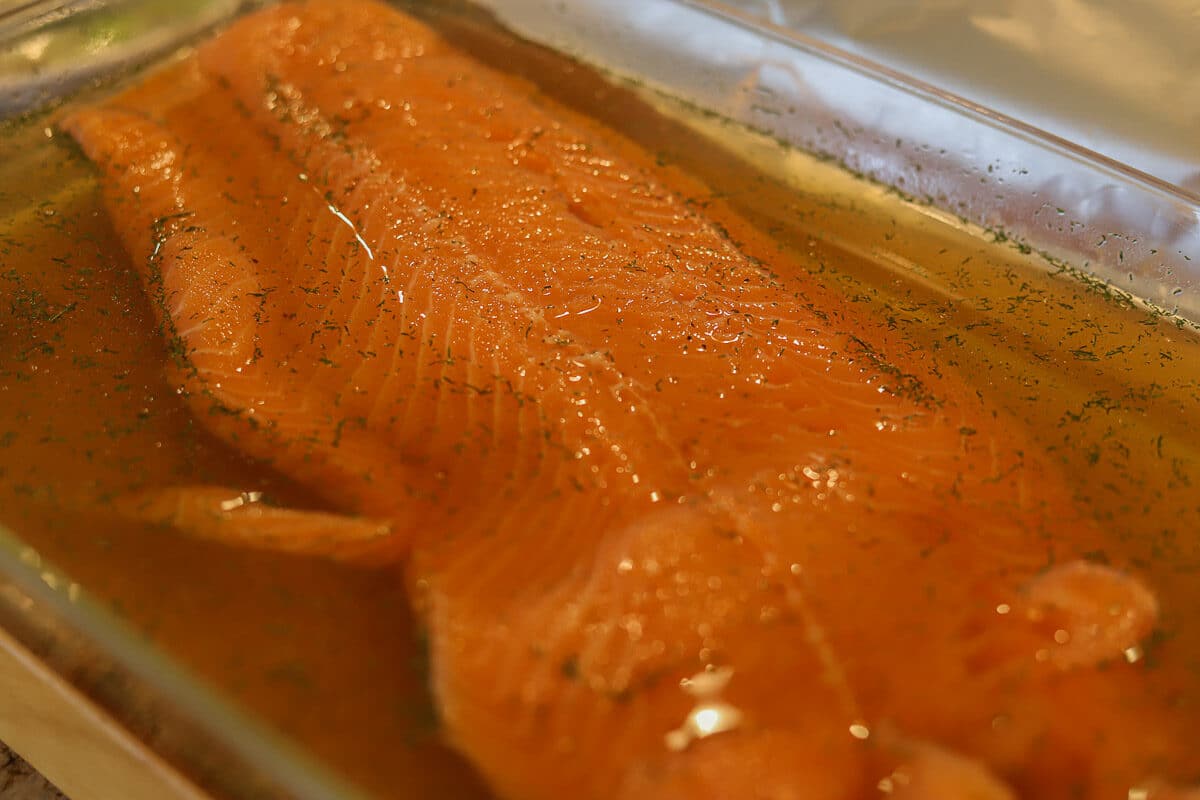 salmon in brine