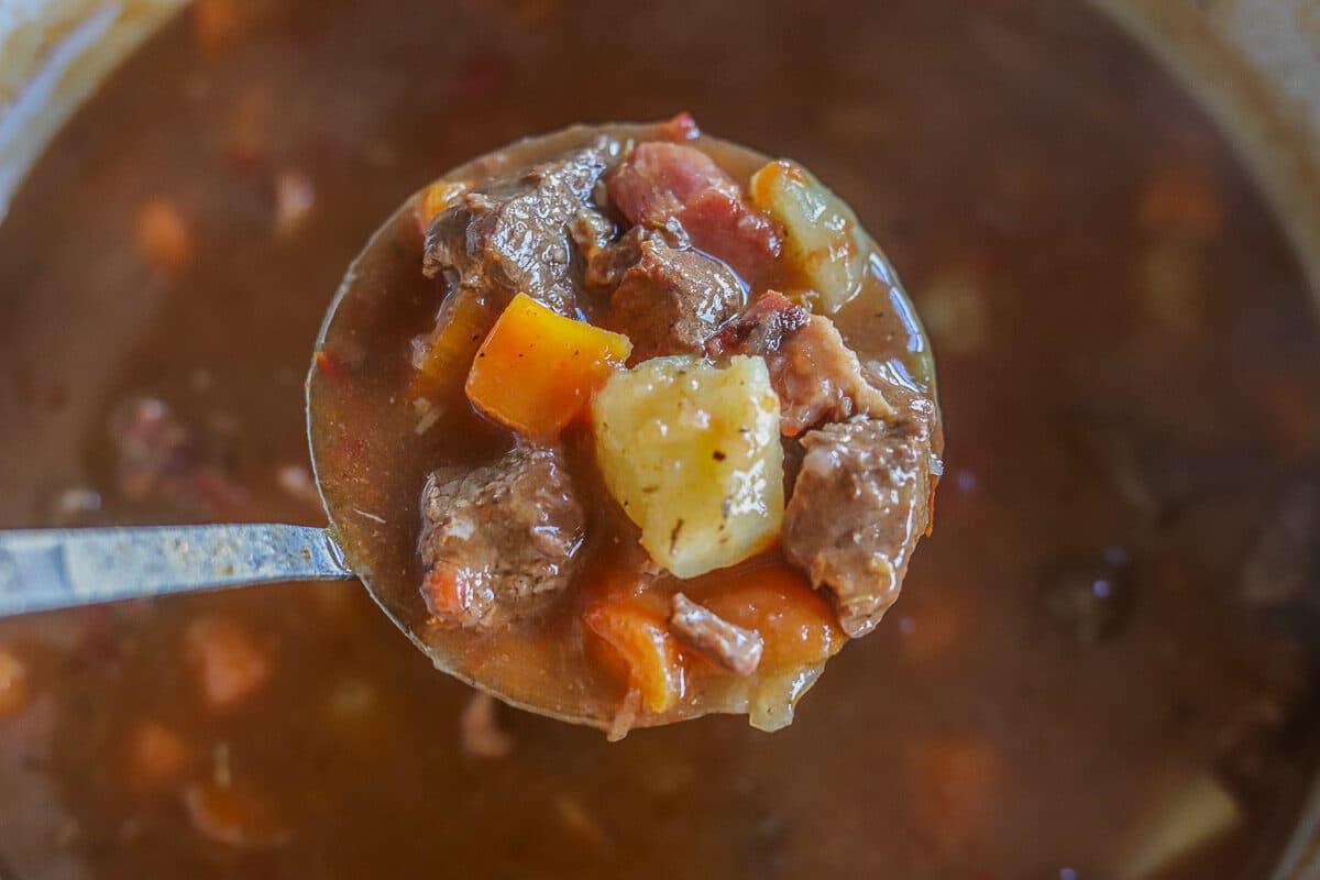 ladle full of venison stew recipe