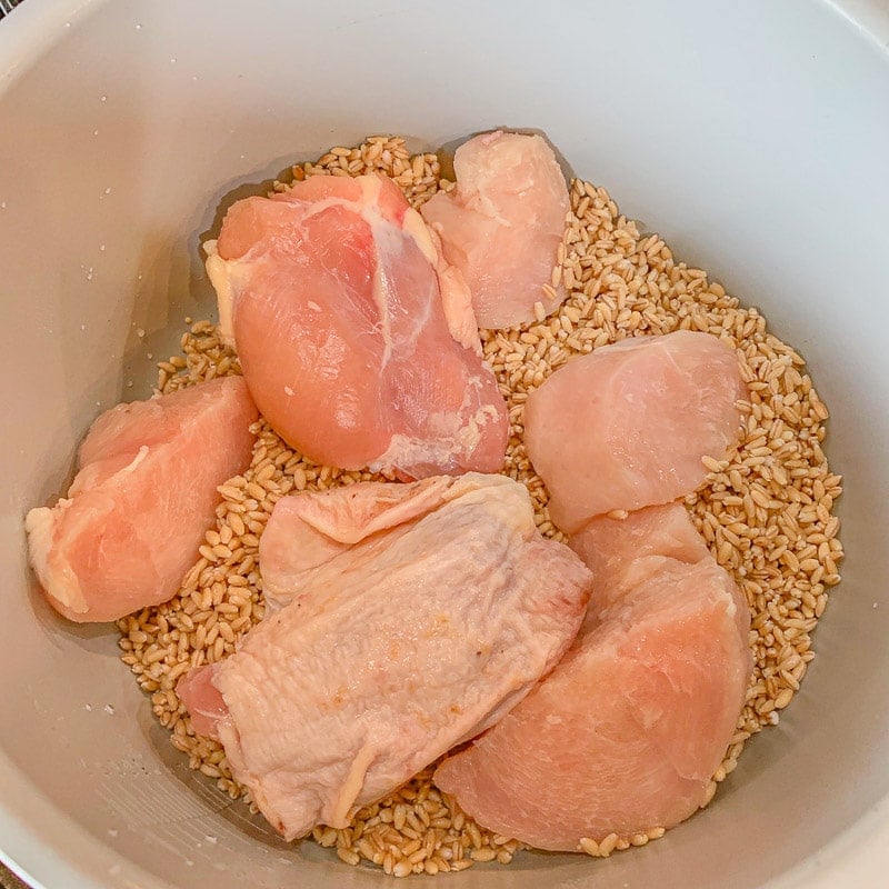 barley and raw chicken in an instant pot