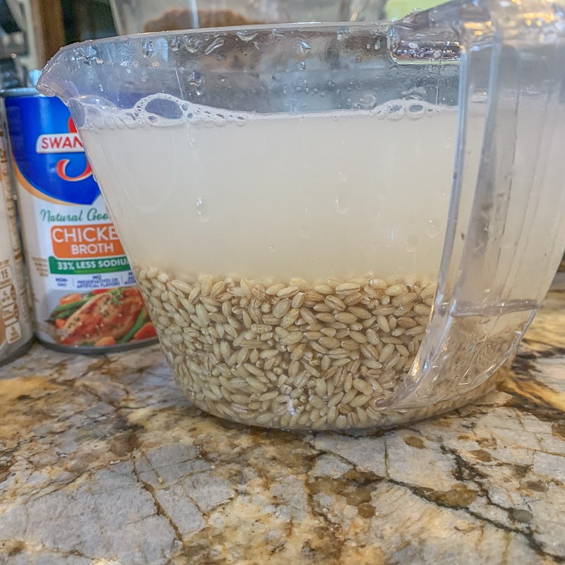 barley soaking in liquid