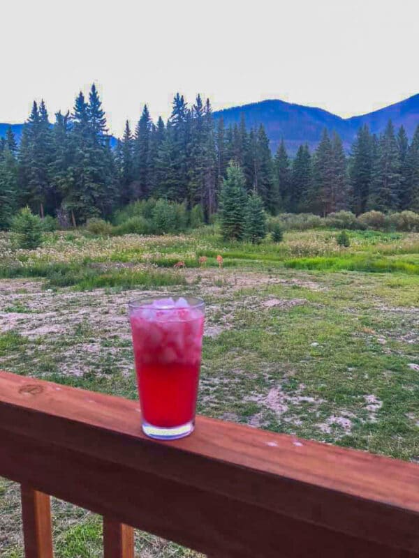 huckleberry drink in a on a railing overlooking mountains