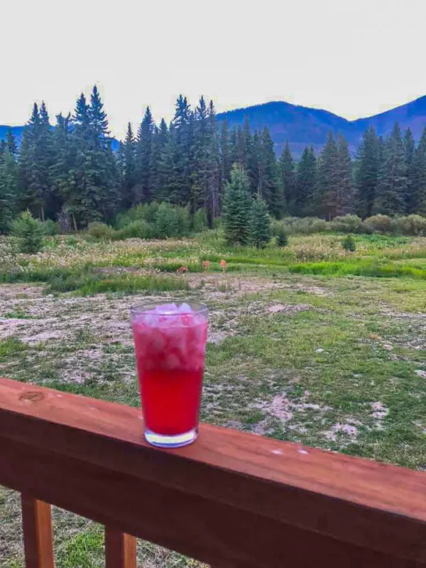 huckleberry beber en una en una barandilla con vistas a las montañas