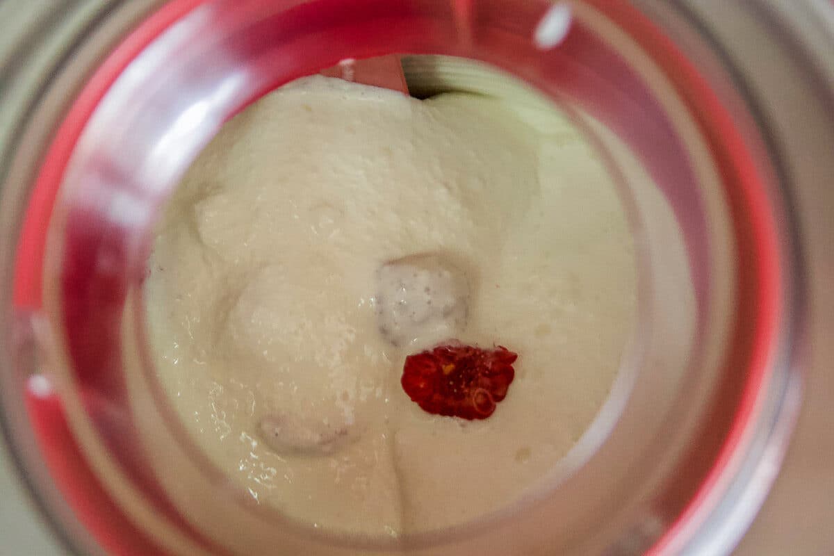 homemade ice cream with raspberries
