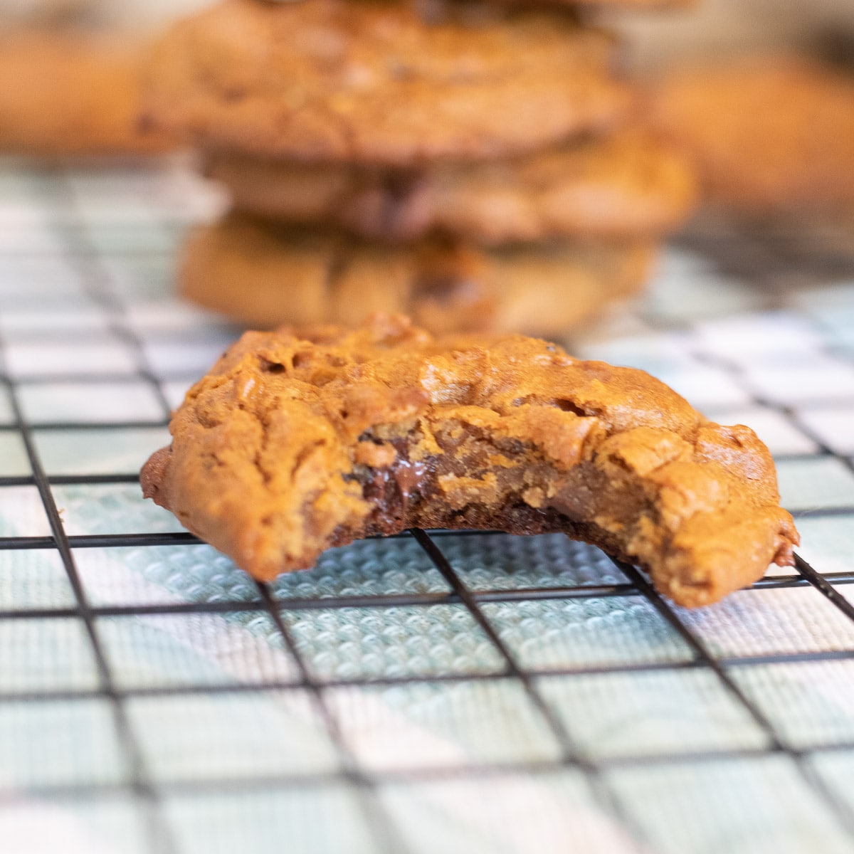 chickpea cookies with bite taken out
