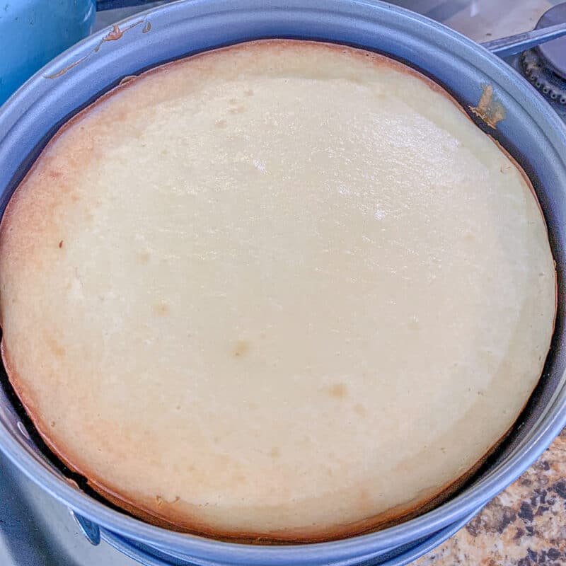 baked cheesecake in a pan