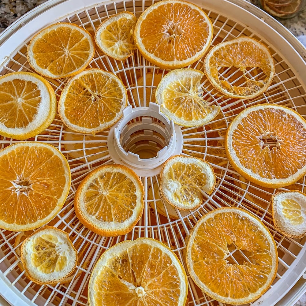 dehydrated oranges in a dehydrator