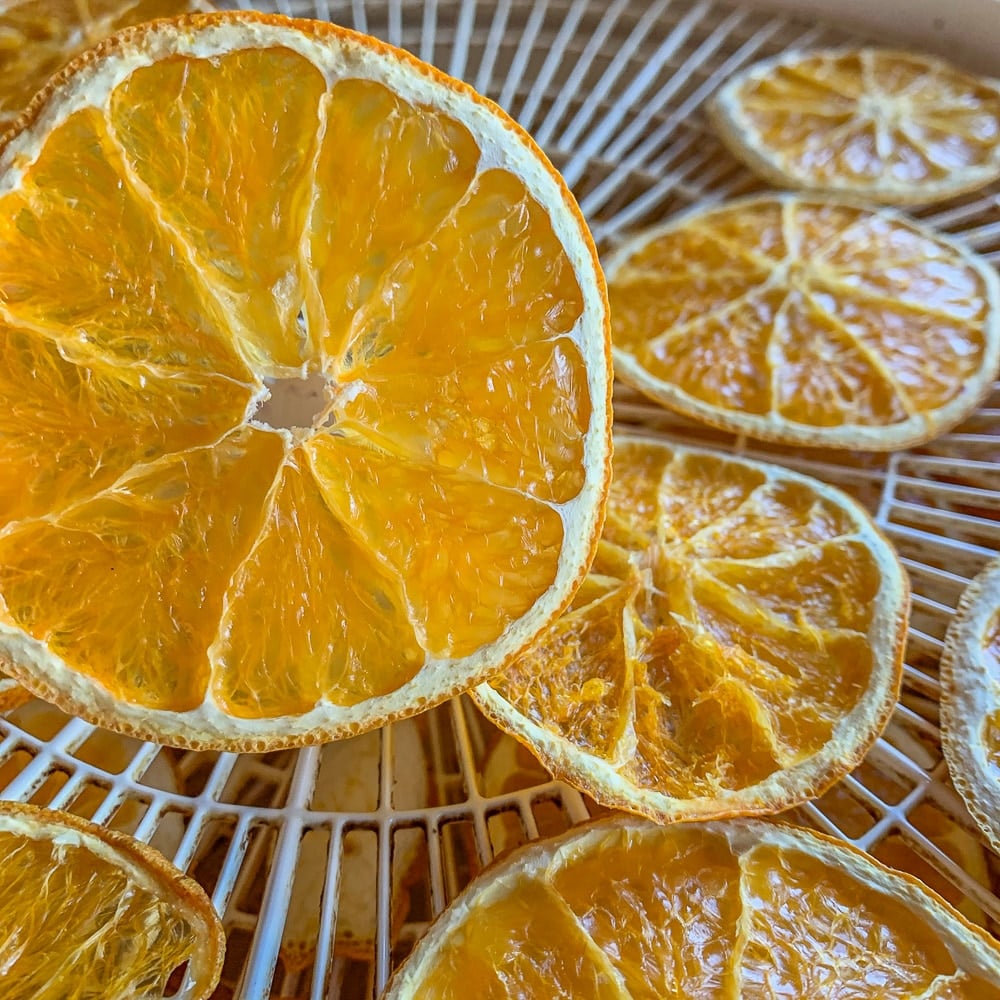 close up of a dehydrated oranges, with the dehydrator full of orange slices in the background